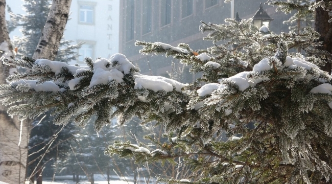 Ardahan'da Sibirya soğukları