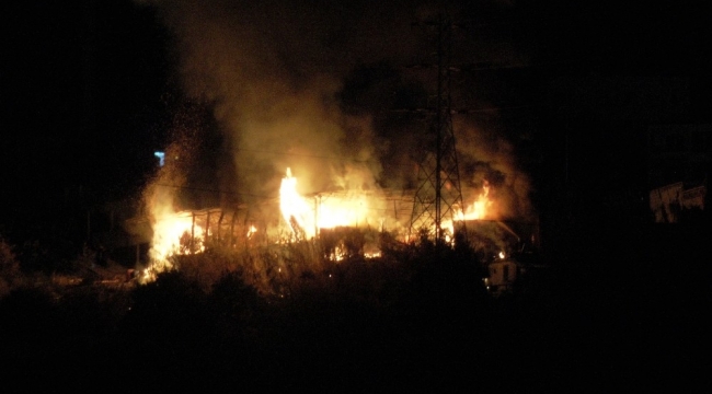 Bodrum'da pelet fabrikası alev alev yandı