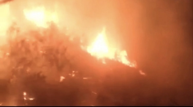 Hatay'da zeytinlik yangını 5 saatte kontrol altına alındı