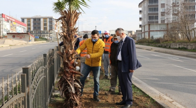 Başkan Kılıç: "İnsanlar Bafra'mızın dış görünümü ile ilgili güzel intibalara sahip olsun istiyoruz"