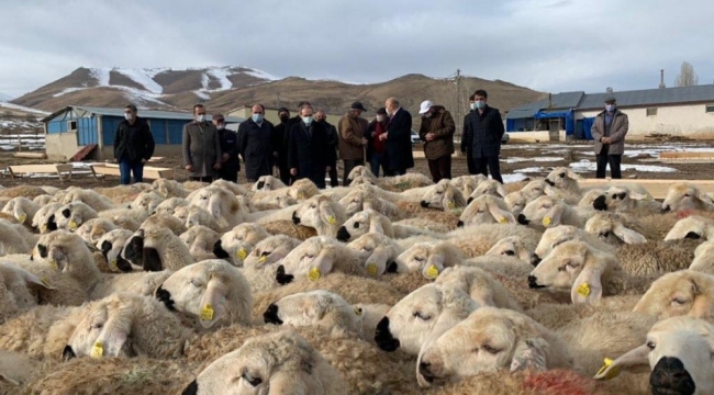 Bayburt'ta "Köyümde Yaşamak İçin Bir Sürü Nedenim Var Projesi" kapsamında çiftçilere koyunları teslim edildi