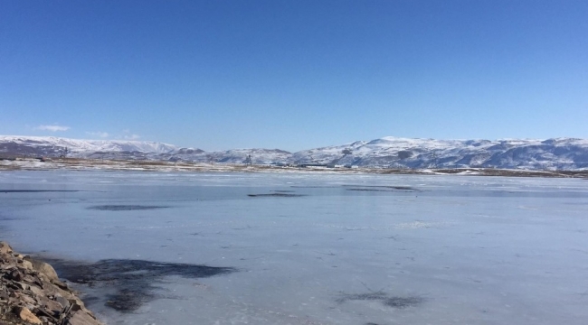 Bingöl Karlıova'da gölet buz tuttu