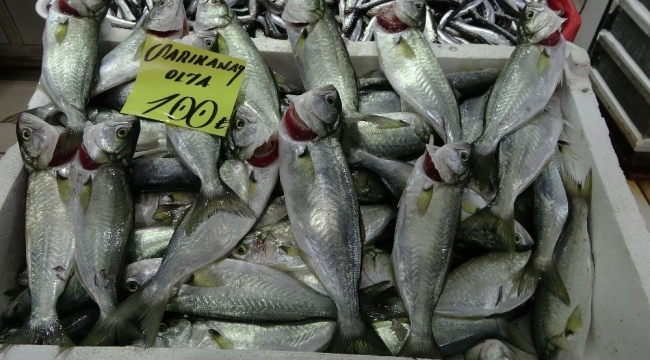 Çanakkale'de balık fiyatları el yakıyor