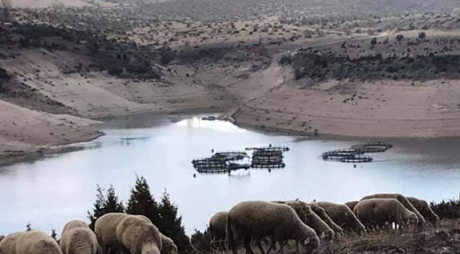 Çavdarhisar baraj göletinde su seviyesi azaldı