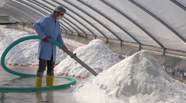 Dünyada nadir bulunan mineral deposu tuz 9 ülkeye ihraç ediliyor