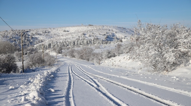 Elazığ'da yoğun kar yağışı, 269 köy yolunu kapattı