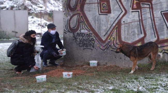 Gaziosmanpaşa'da sokak hayvanları karda sahipsiz kalmadı