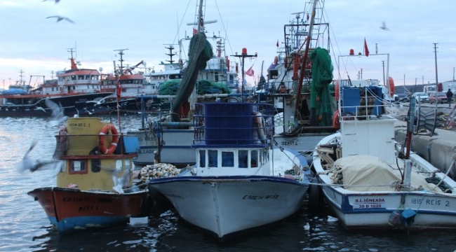 İğneada'da balıkçılar limana boş kasalar ile dönüyor