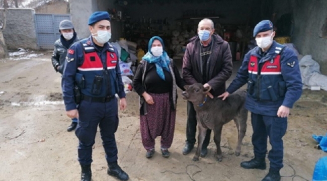 JASAT hayvan hırsızlarını Gürcistan'a kaçarken yakaladı