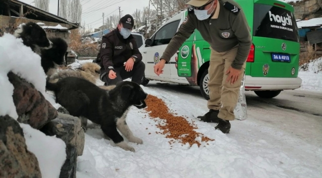 Kars'ta polis, sokak hayvanlarına yiyecek bıraktı