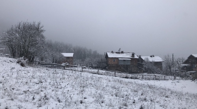 Kastamonu'da 95 köy yolu kar nedeniyle ulaşıma kapandı
