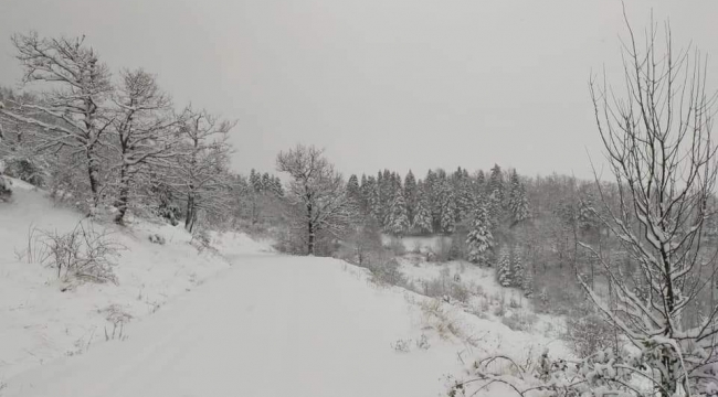 Kastamonu'da köylerin yarısının yolu kar yağışı nedeniyle kapandı