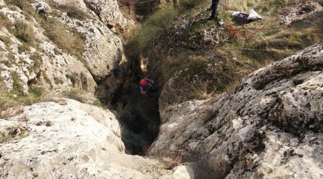 Kayaların arasında mahsur kalan 2 keçi kurtarıldı