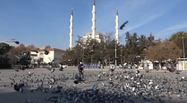 Kırıkkale'de kısıtlama mağduru güvercinleri gazeteci besledi