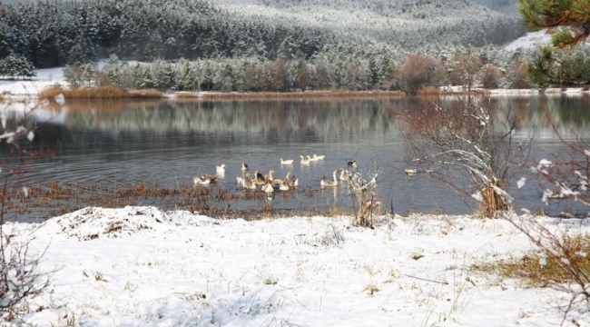 Mevsimin ilk karı yağdı Gölcük'te kartpostallık görüntüler oluştu