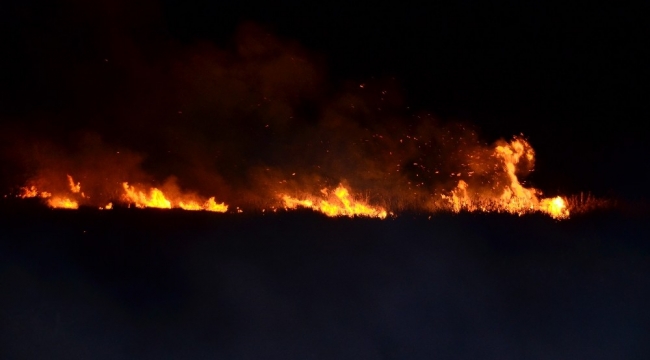 Samsun'da sazlık yangını