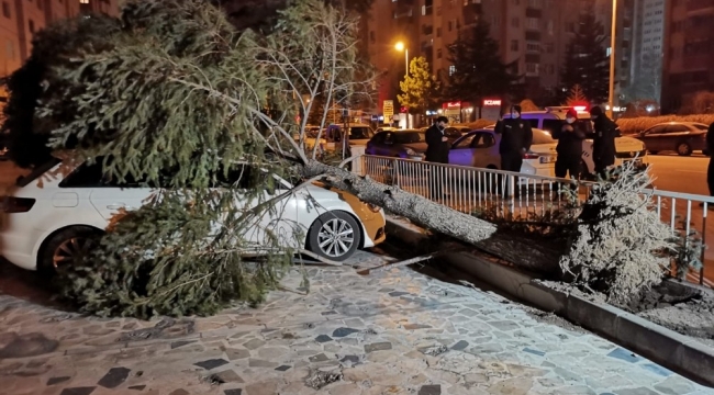 Şiddetli rüzgar çatıları uçurdu, ağaçları yerinden söktü