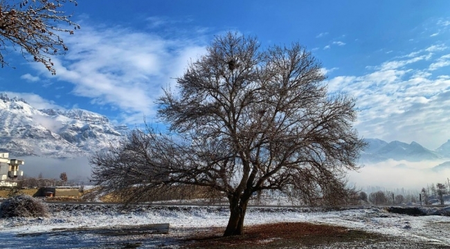 Tarihi çınar ağaçları her mevsim ayrı görsel şölen sunuyor