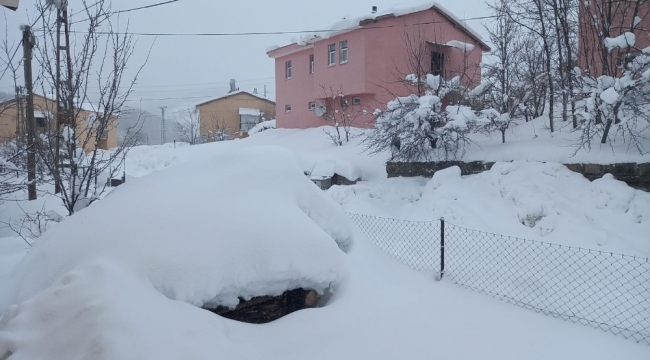 Tunceli'de yoğun kar yağışı, 250 köy yolunu ulaşıma kapattı