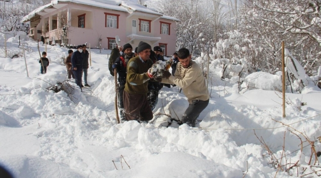 VEDAŞ ekipleri Şemdinli'de kar mesaisinde