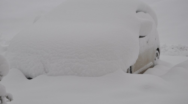 Yüksekova'da yoğun kar yağışı
