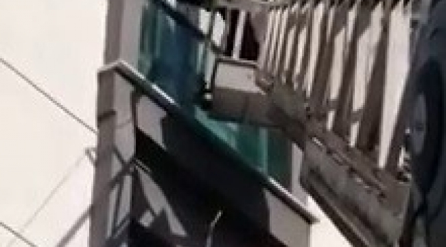 Mahsur kalan güvercini itfaiye ekipleri kurtardı