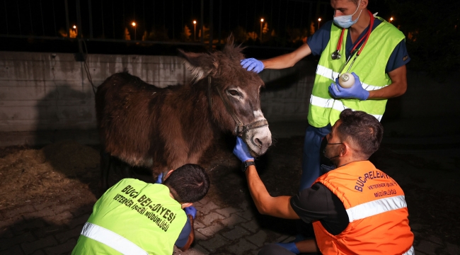 Buca Belediyesi Manavgat'ı yalnız bırakmadı