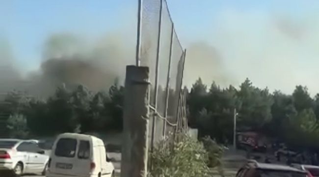 İzmir Sarnıç'taki yangın kontrol altına alındı
