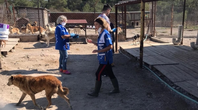 HAYTAP ile örnek işbirliği