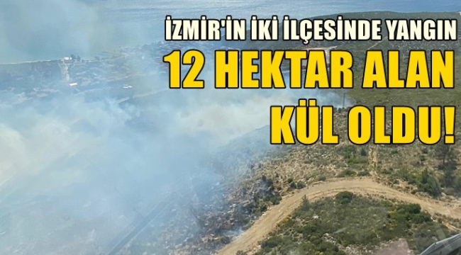İzmir'in iki ilçesinde orman yangını!