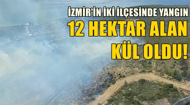 İzmir'in iki ilçesinde orman yangını!