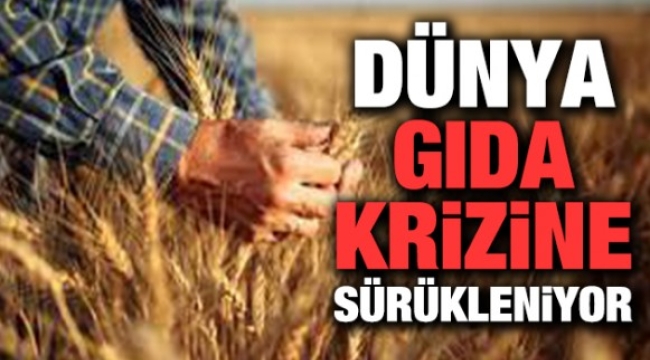 Dünya gıda krizine sürükleniyor