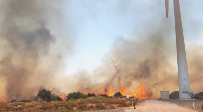 Çeşme'de ki yangın ile ilgili 7 kişi gözaltına alındı