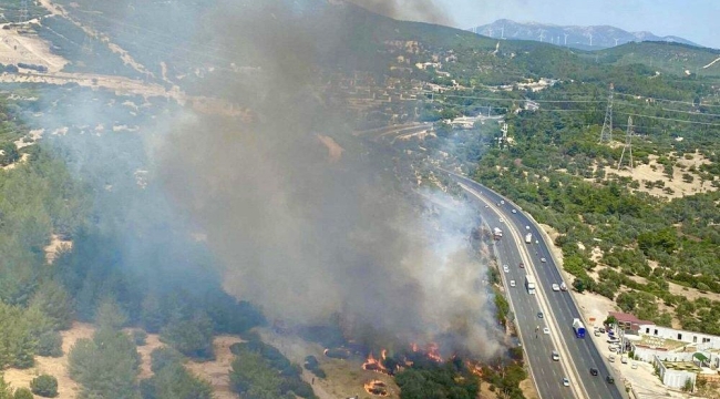 İzmir'in 2 İlçesinde Yangın!